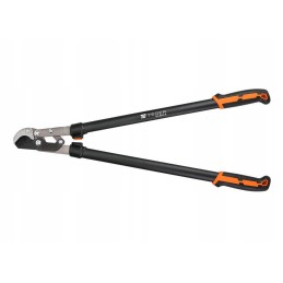 Dvirankis priekalinis genėjimas su tege pavara