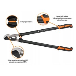 Dvirankis priekalinis genėjimas su tege pavara