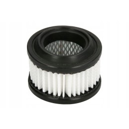 Donaldson P502563 oro filtras