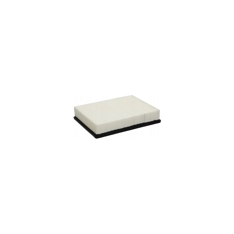 Donaldson P548963 variklio oro filtro įdėklas