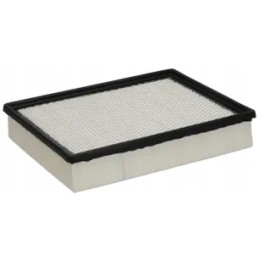 Donaldson P548963 variklio oro filtro įdėklas