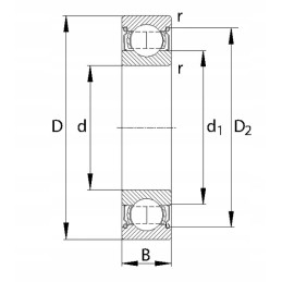 Rutulinis guolis paprastai 20x42x12 mm ina fag 60042rs