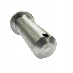 Apatinis pakabos kaištis su Ursus apykakle