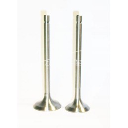 Išmetimo vožtuvas t 25