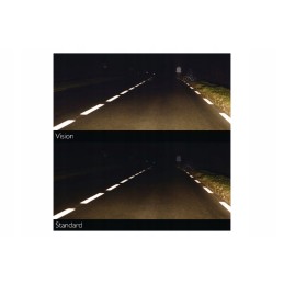 Gl12258pr halogeninė lemputė h1 55w 12v philips