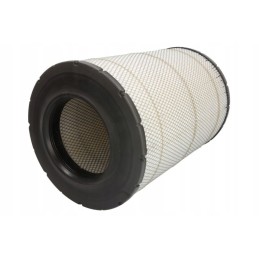 Fleetguard AF25129M oro filtras