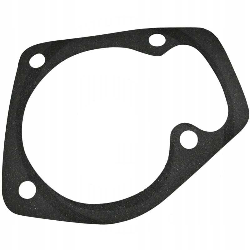 Morpak vandens siurblio sandariklis c 385 ir dariniai