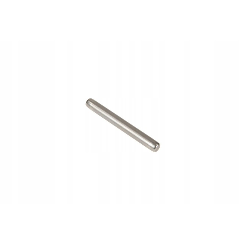 30 3338738 guolių adata