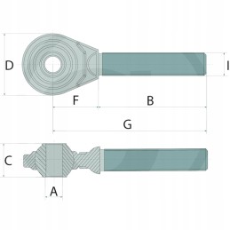 Srieginis kotas su galva
