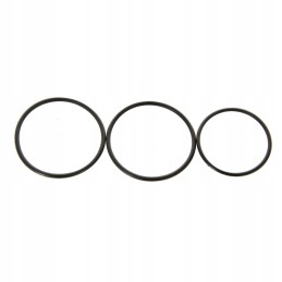 Massey Ferguson Perkins vandens siurblys 4222028M91