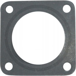 Morpak termostato tarpiklis c 360