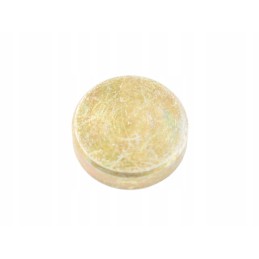 Bizon pavarų dėžės kreipiklio kaištis 5040240450 5