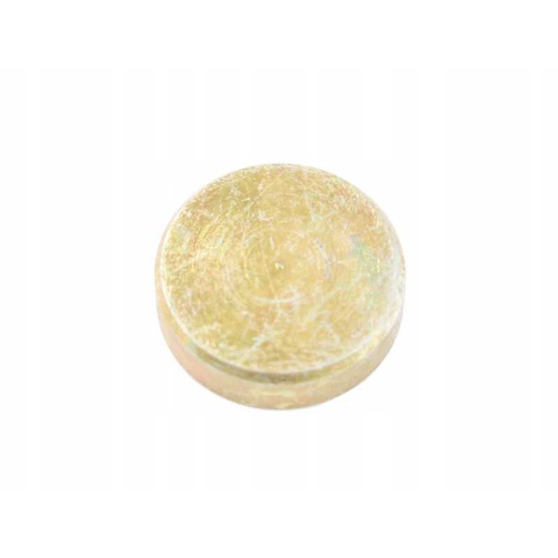 Bizon pavarų dėžės kreipiklio kaištis 5040240450 5