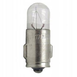 Bosma vienos kaitlentės lemputė 12v 2w 10 vnt