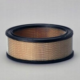 Donaldson oro filtras p530639