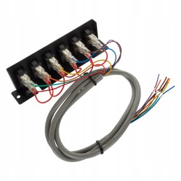 Valdymo pultas 5 sekcijų 12v universalus