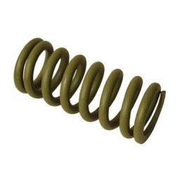 Priekinės ašies spyruoklė 55113626 zetor dalis