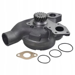 vandens siurblys Massey Ferguson 3085 6160 4222028m91