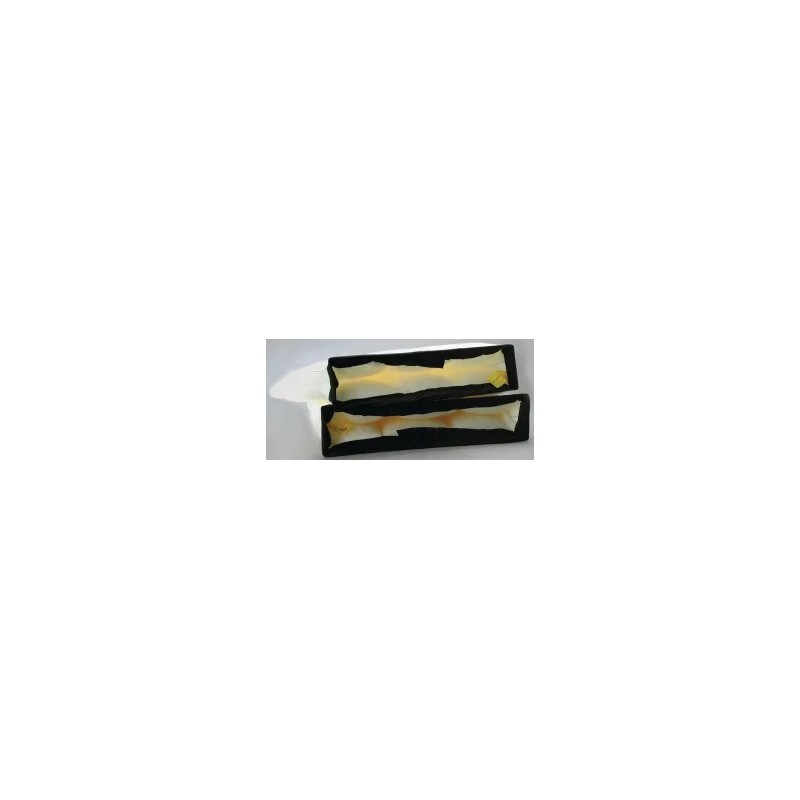 Donaldson P618921 išankstinio oro filtras