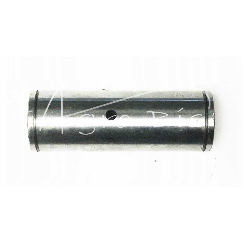 Ursu vairo pavaros kaištis