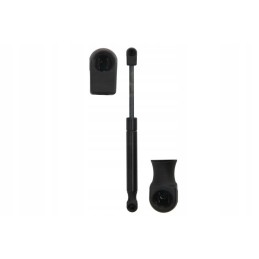 Dujinės spyruoklinės staklės fa21901 00