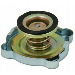 Radiatoriaus dangtelis ursus c 330 42310160