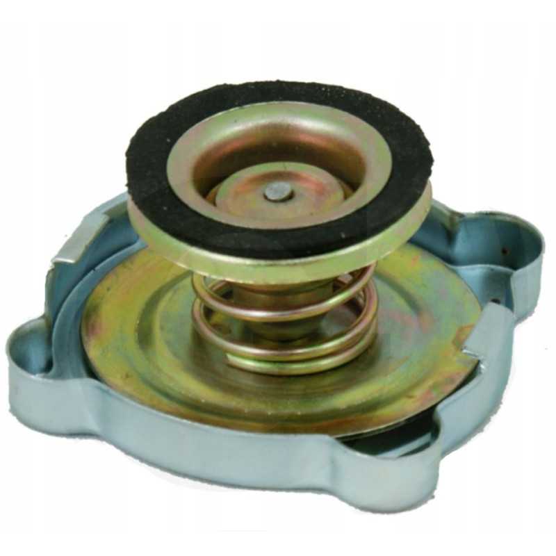 Radiatoriaus dangtelis ursus c 330 42310160