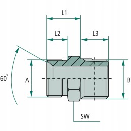 Hidraulinės jungties adapteris 1 2 bsp x 1 2 npt