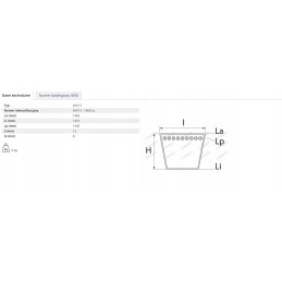 Massey Ferguson V formos diržas 3780608m91