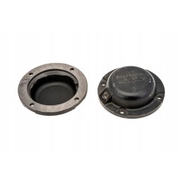 101557554 guolio dangtis