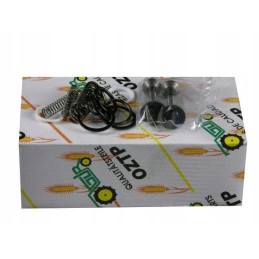 Hidraulinio siurblio vožtuvo kameros remonto rinkinys