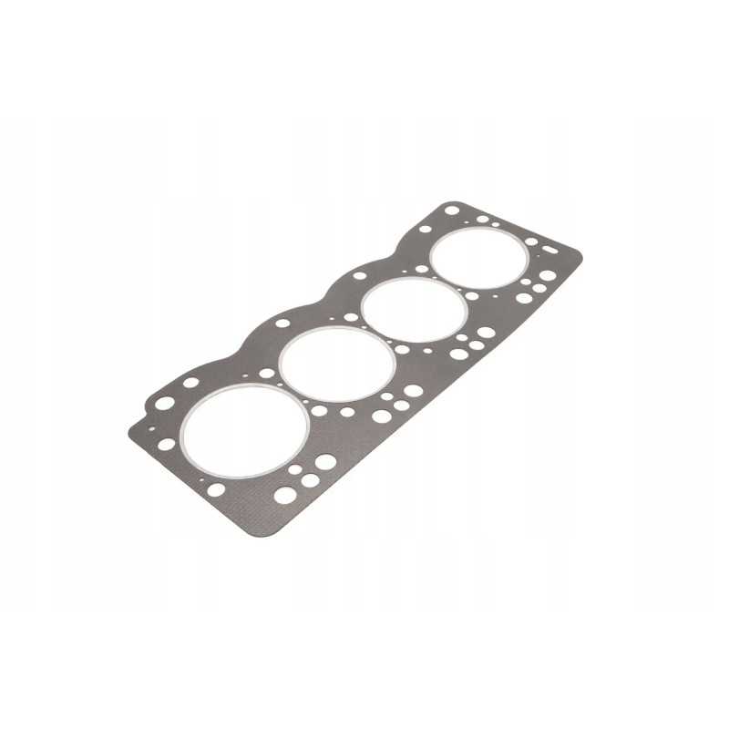 4d35t 01004 variklio galvutės tarpinė