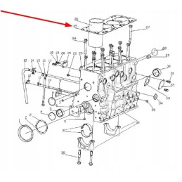 4d35t 01004 variklio galvutės tarpinė