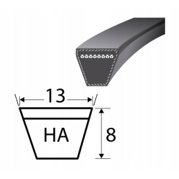 Pasek ha 1250