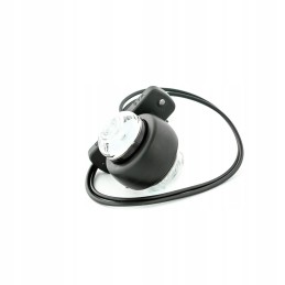 Kombinuotas priekinis ir galinis gabaritinis žibintas buvo W56