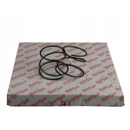 Priekinė pavaros spyruoklė 72453133 originali Zetor