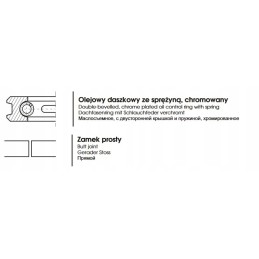 Chromuotas alyvos žiedas c 385 110 00x6 0x3 4
