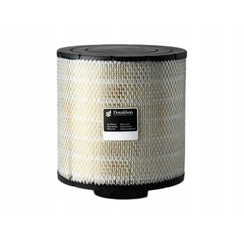 Donaldson oro filtras p119539