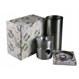 Variklio remonto komplektas rm u5mk0124 3638885m91