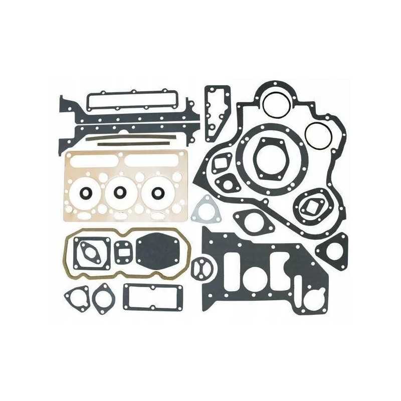 Variklio tarpiklių komplektas 3134019k 201