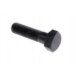 Smagračio varžtas m12x1 5x45 950317 c 360 zet