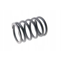 Vožtuvo spyruoklė, išorinė 80005013 c 385 8900550