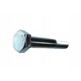 Varžtas M12x80 cinkuotas