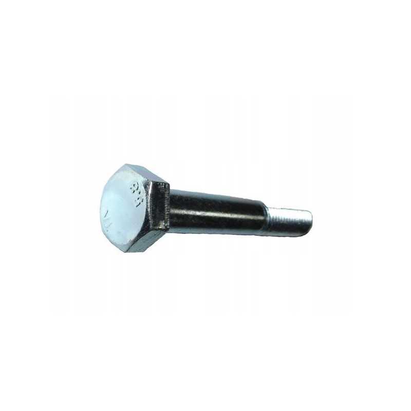 Varžtas M12x80 cinkuotas