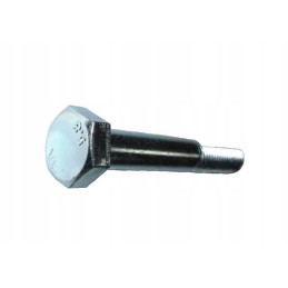 Varžtas M12x80 cinkuotas