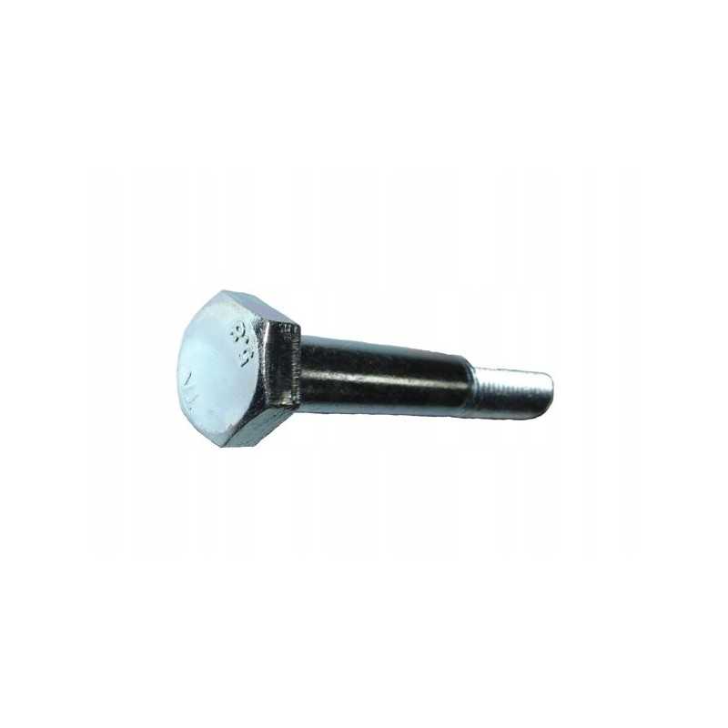 Varžtas M12x80 cinkuotas