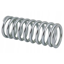 26900080021088 sankabos slėgio spyruoklė