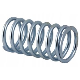 26900080021087 sankabos slėgio spyruoklė, išorinė