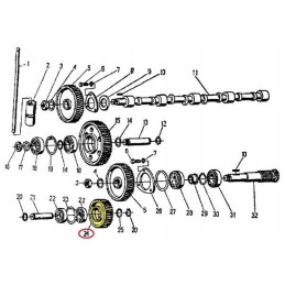 Tarpinė apatinė paskirstymo pavara 950416 c 360 laipsnių o