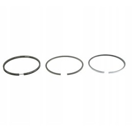Stūmoklių žiedų rinkinys q110 mm c 385 varikliui